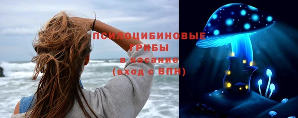 дживик Новодвинск