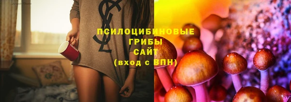 прущий лед Алексин