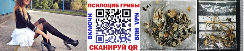 продажа наркотиков  Мензелинск  Галлюциногенные грибы Psilocybine cubensis 